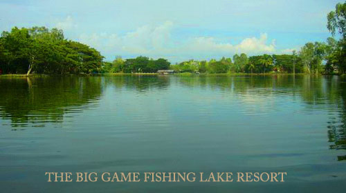 chiangmai big game fishing lake resort